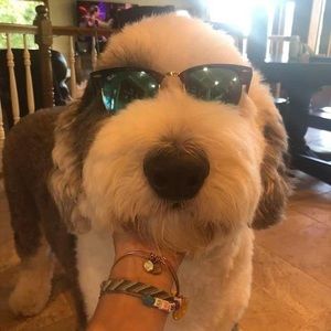 Meet your Posher, Curt